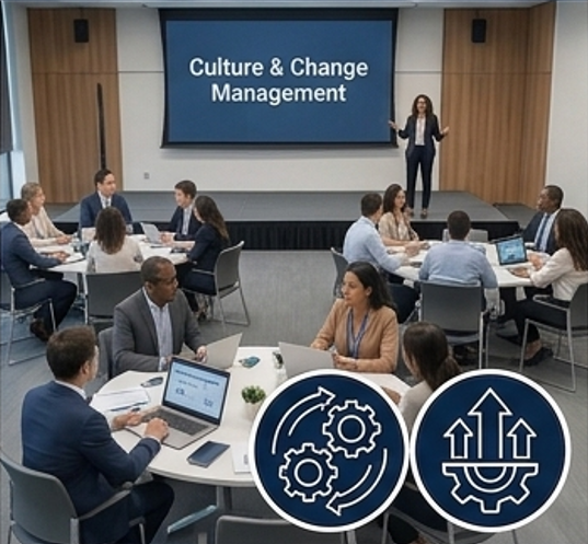 Organizational Development Workshops